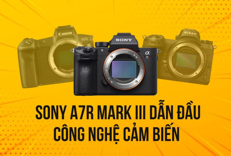 Sony A7RIII có Dynamic Range vượt trội so với Canon EOS R và Nikon Z7? | 50mm Vietnam