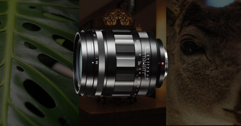 Voigtlander ra mắt Super Nokton 29mm f/0.8 - Ống kính thương mại có khẩu độ lớn nhất lịch sử | 50mm Vietnam